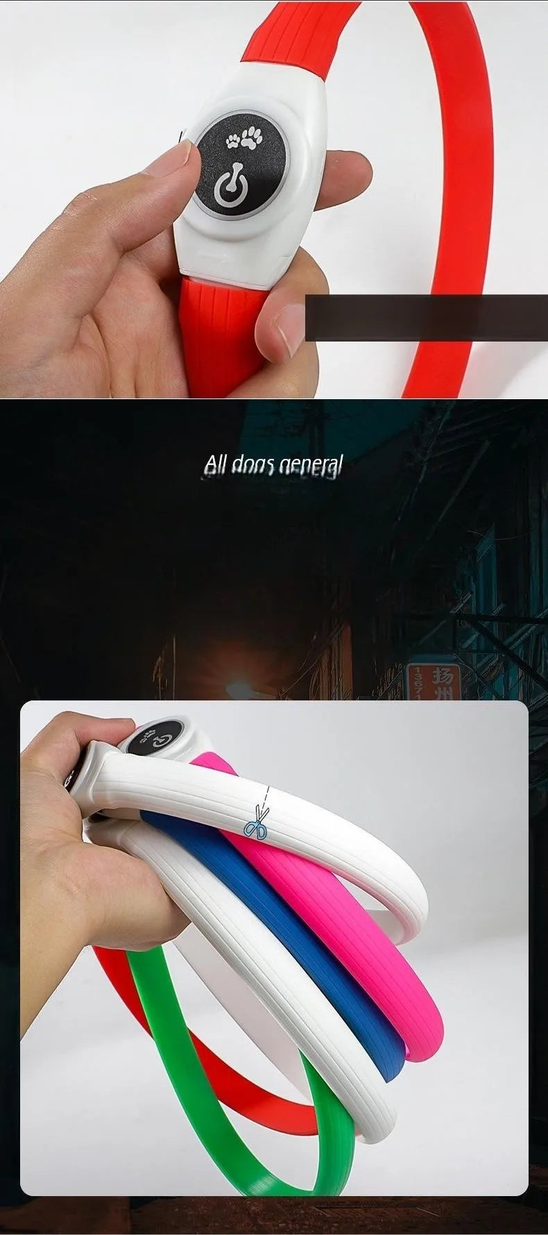 Collier lumineux chien | VisioNight