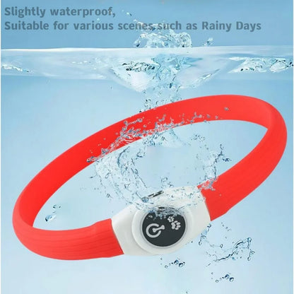 Collier lumineux chien | VisioNight