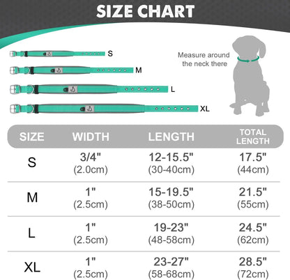 Collier chien | Néoprène Confort Nuit