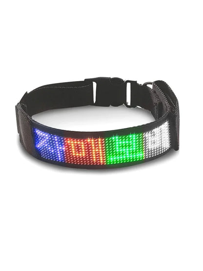Collier lumineux chien | LED-Safety