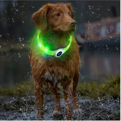 Collier lumineux chien | VisioNight