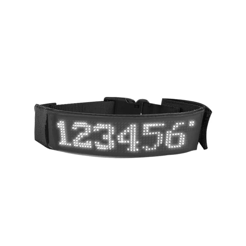 Collier lumineux chien | LED-Safety