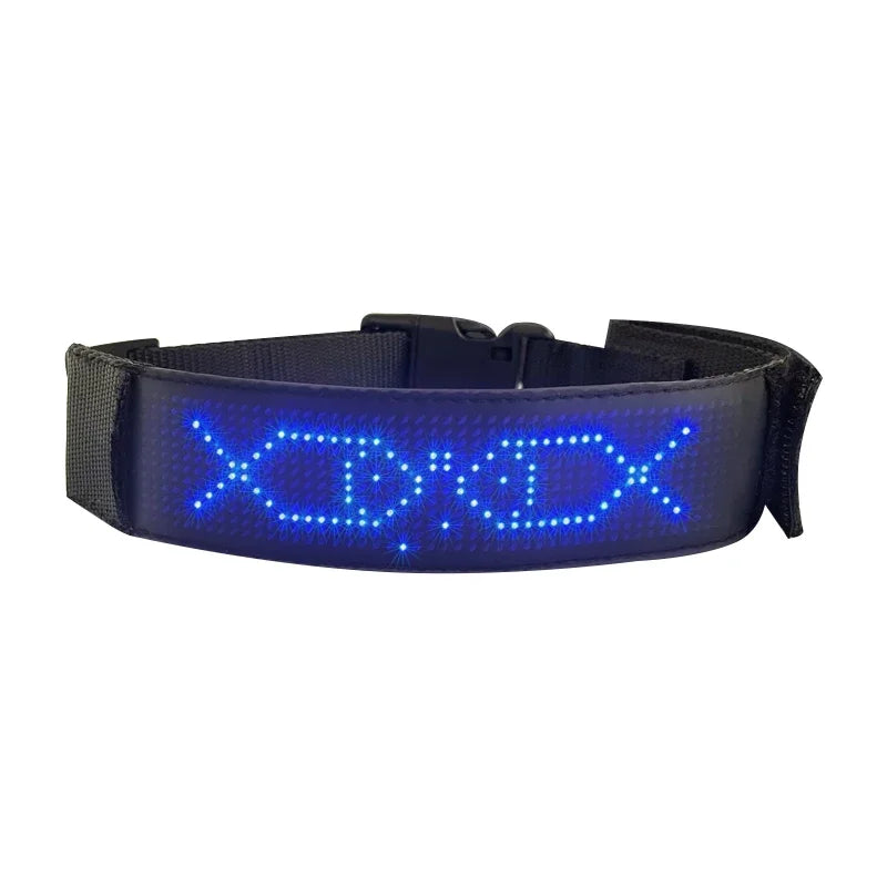 Collier lumineux chien | LED-Safety