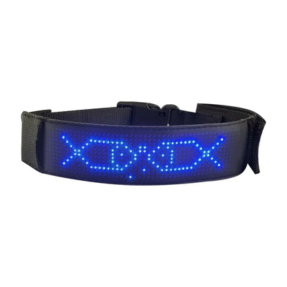 Collier lumineux chien | LED-Safety