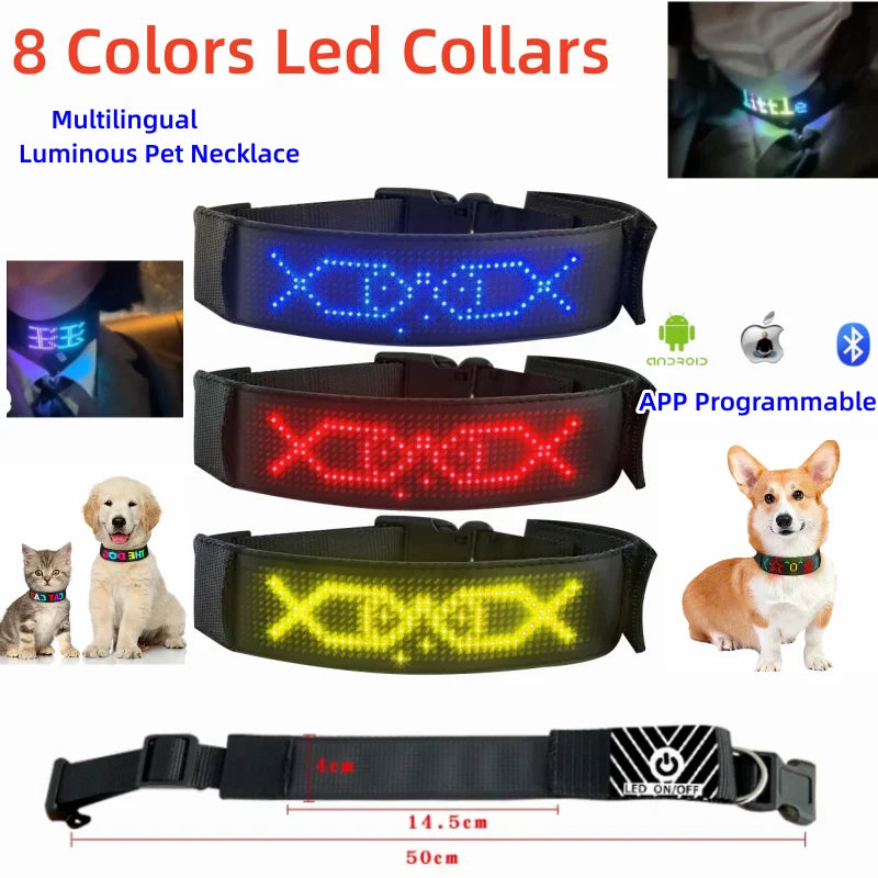 Collier lumineux chien | LED-Safety