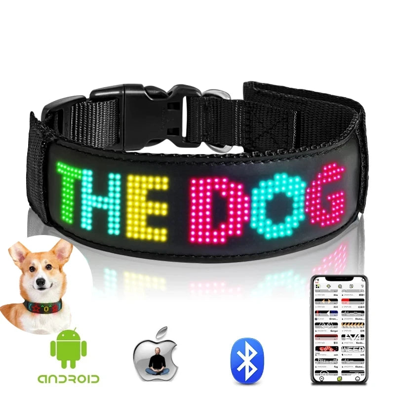 Collier lumineux chien | LED-Safety