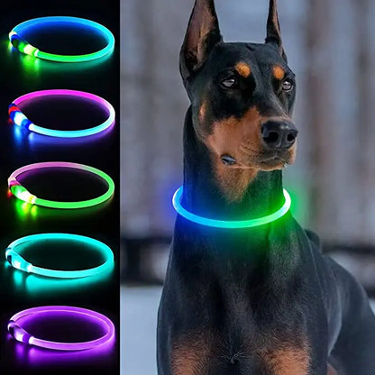 Collier lumineux chien | VisioNight