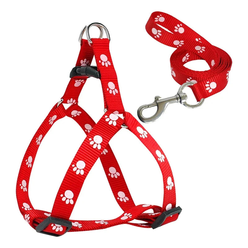 Harnais pour chien | ComfortWalk