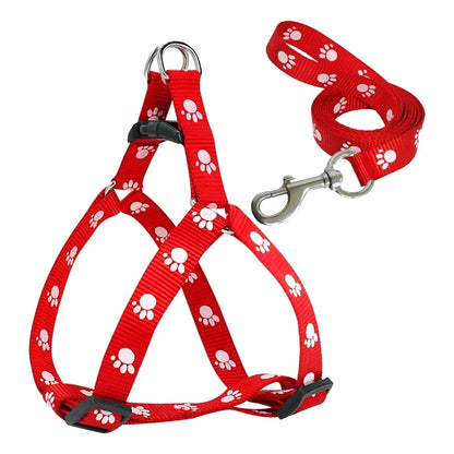 Harnais pour chien | ComfortWalk