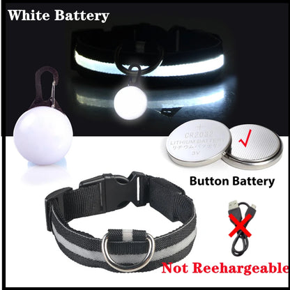 Collier lumineux pour chien | NightSafe