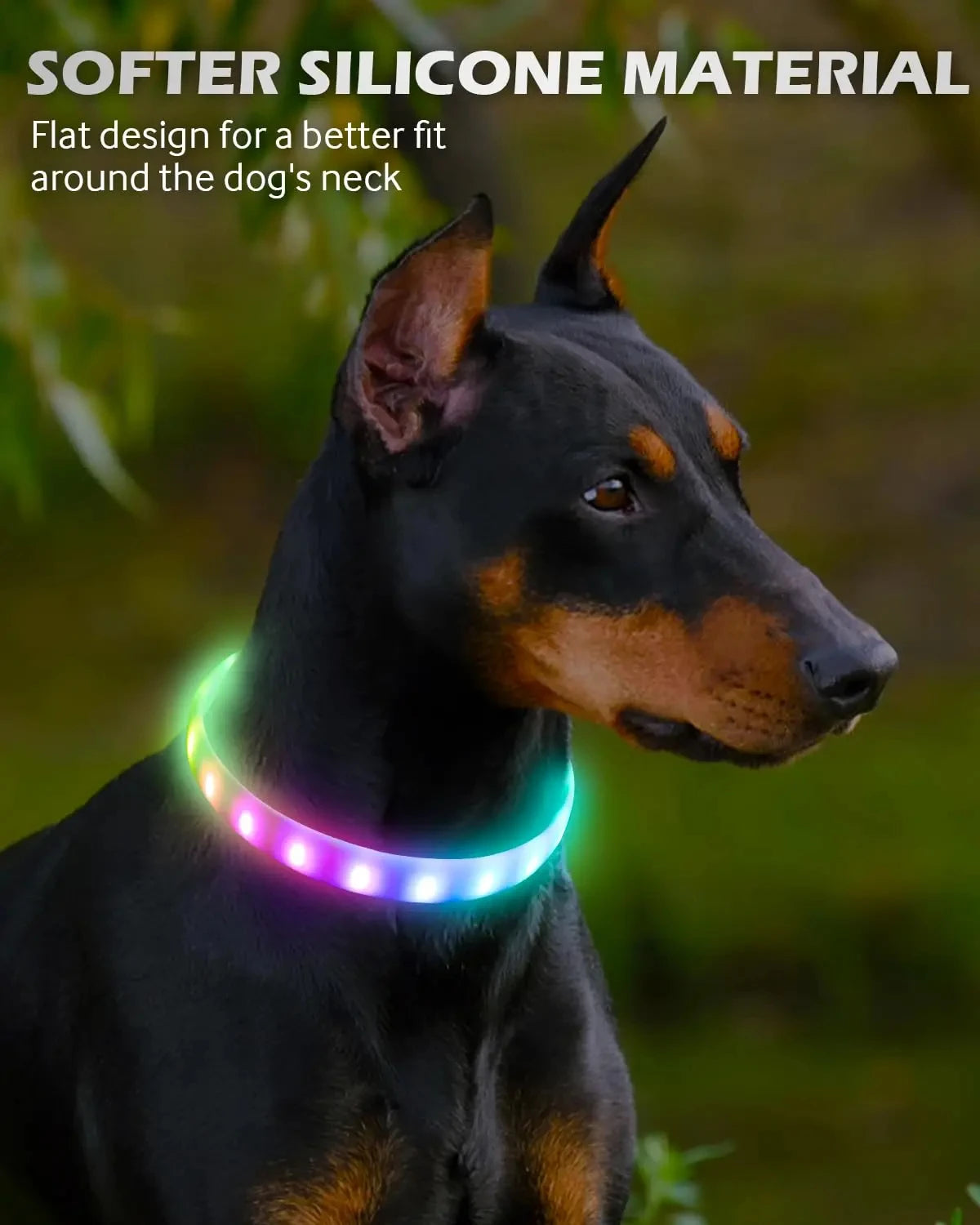 Collier lumineux chien | Visio+