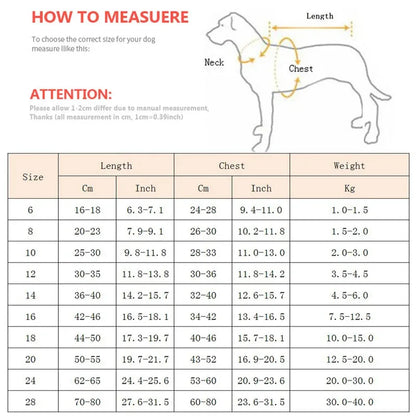 Pull de Noël pour Chien | Chaleureux