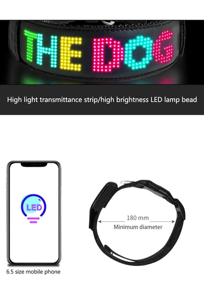 Collier lumineux chien | LED-Safety