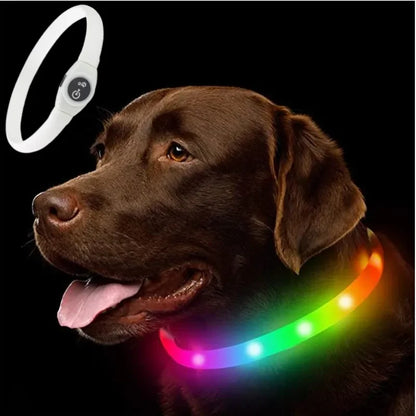 Collier lumineux chien | VisioNight