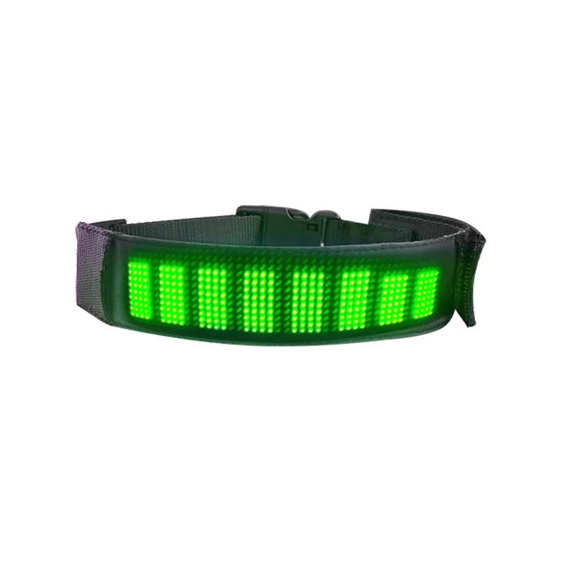 Collier lumineux chien | LED-Safety