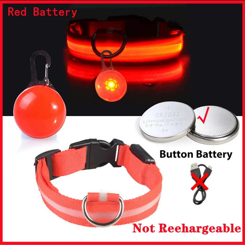 Collier lumineux pour chien | NightSafe