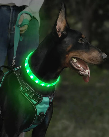 Collier lumineux chien | Visio+