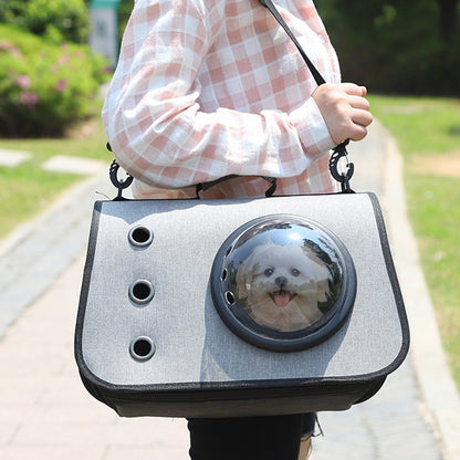 Sac de transport pour chien gris