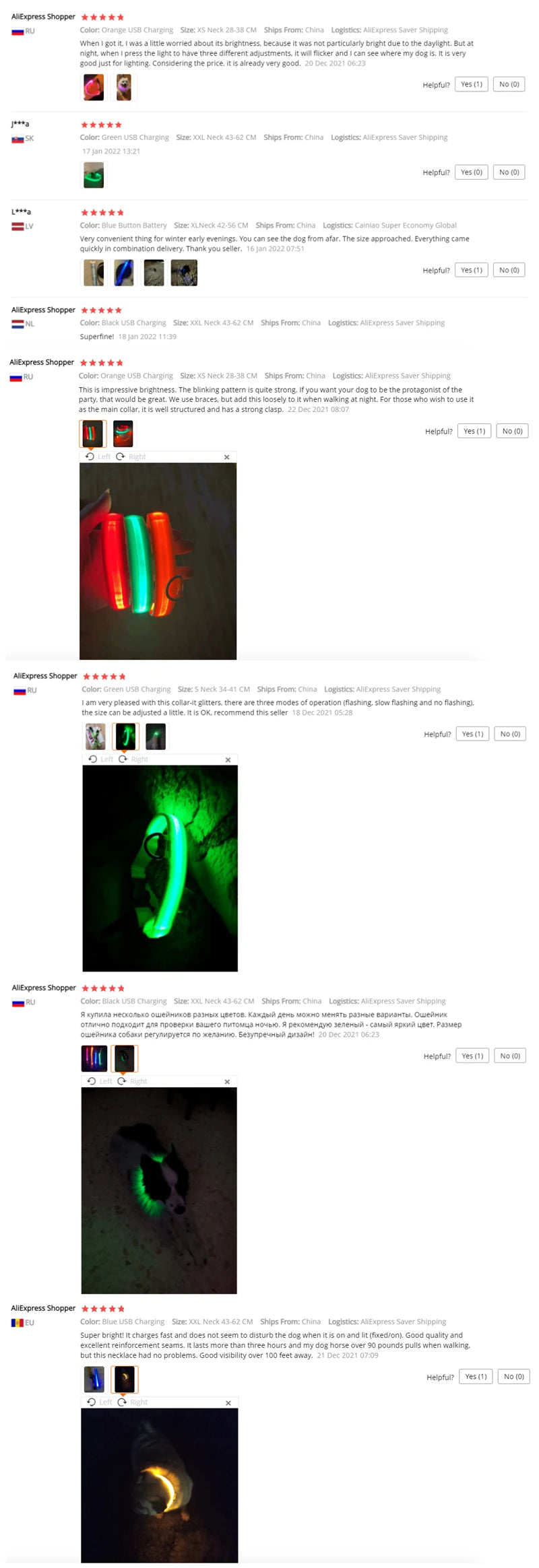 Collier lumineux pour chien | NightSafe