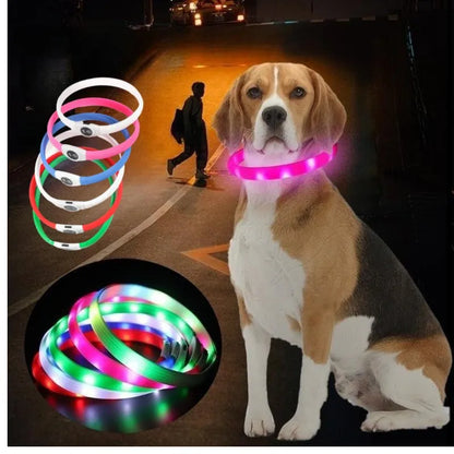 Collier lumineux chien | VisioNight