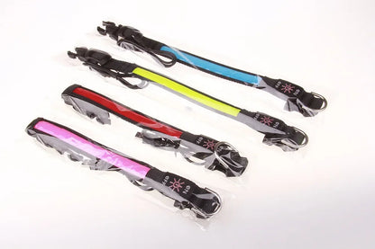 Colliers lumineux pour chiens | SecuriNight