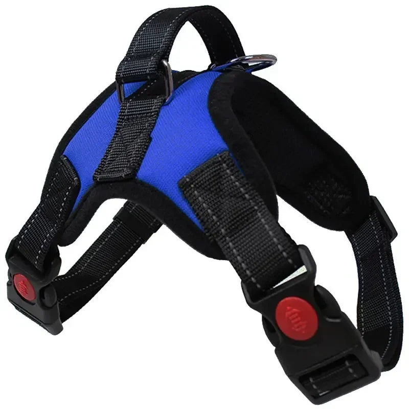 Harnais pour chien | Confortable Anti-traction