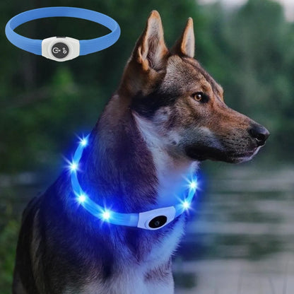 Collier lumineux chien | VisioNight