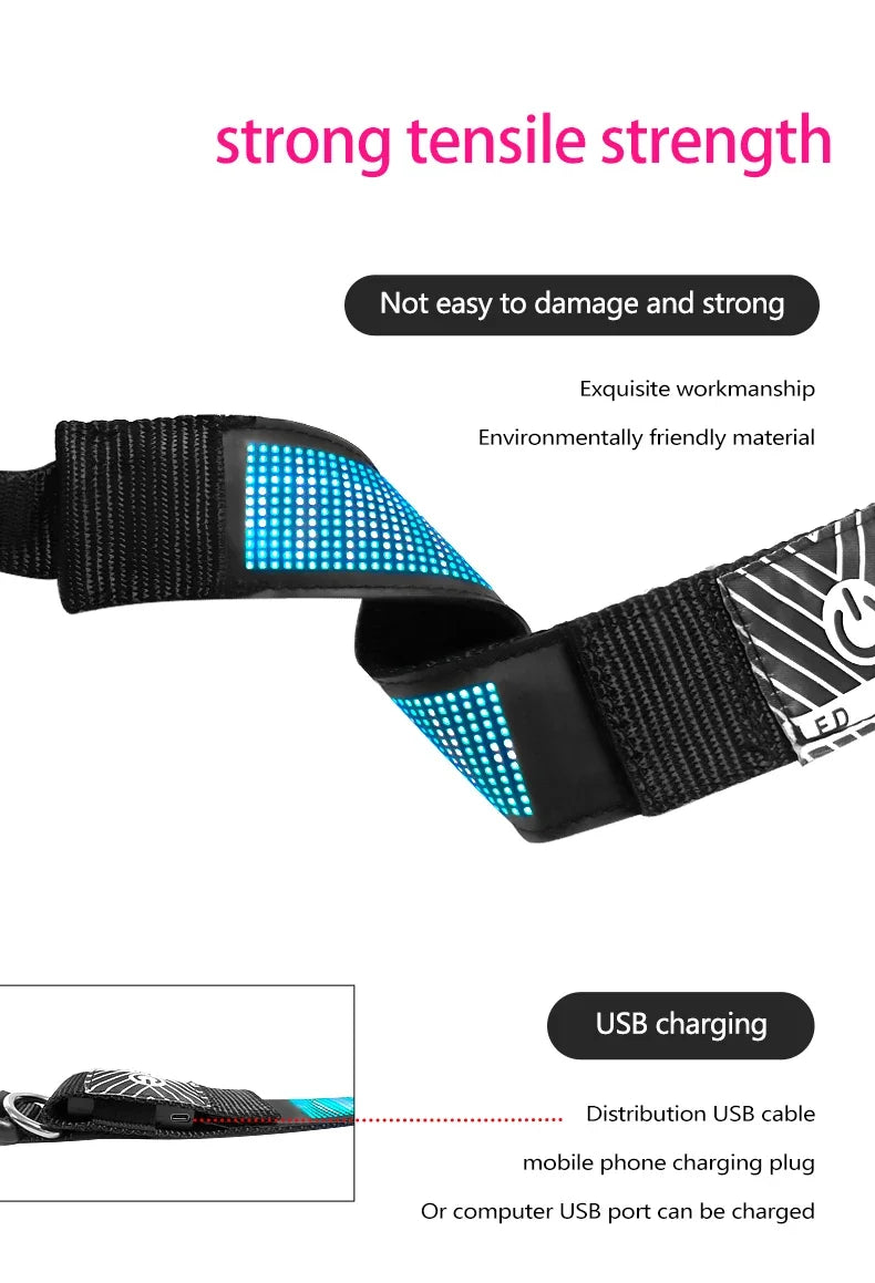 Collier lumineux chien | LED-Safety