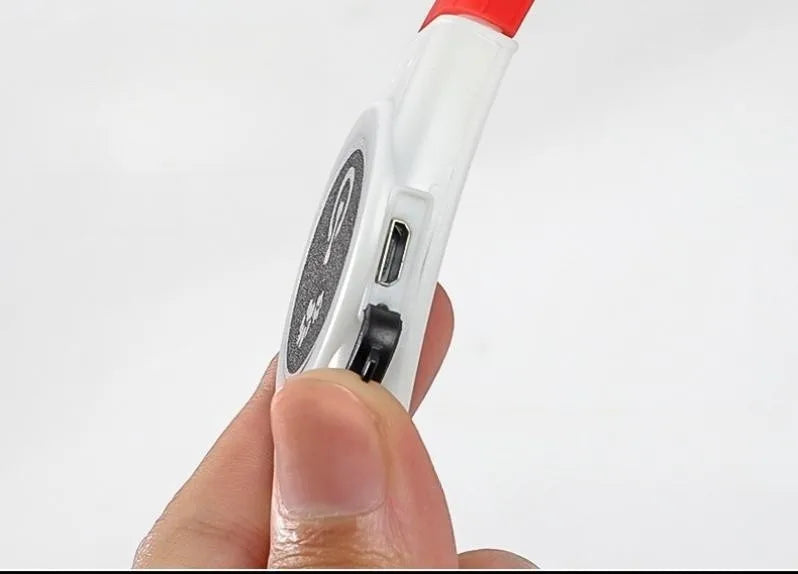 Collier lumineux chien | VisioNight