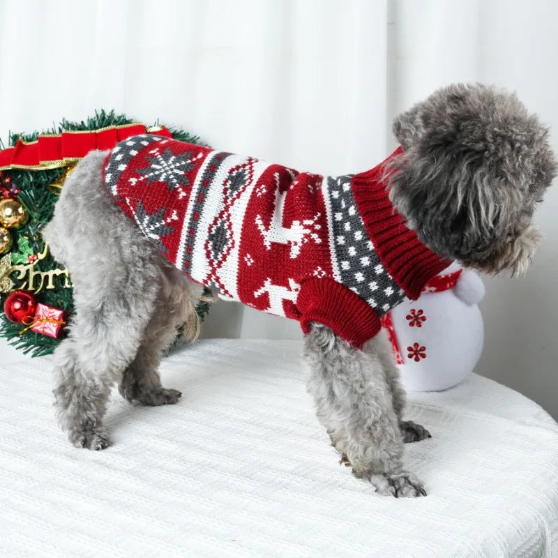 Pull de noël pour chien | Confort Natural