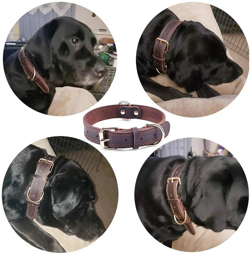 Collier Chien | Cuir Véritable Vintage