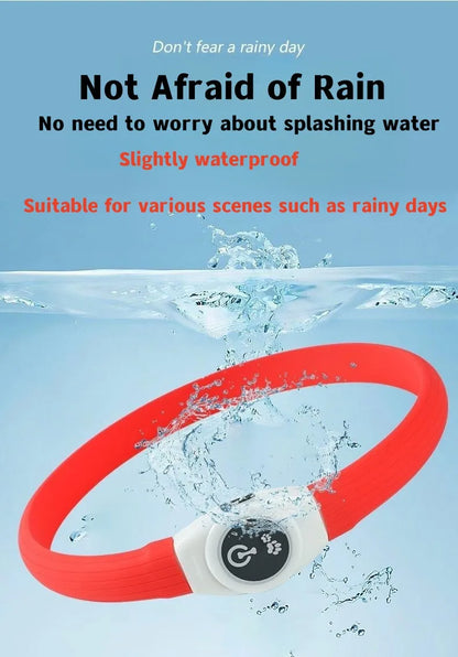 Collier lumineux chien | VisioNight