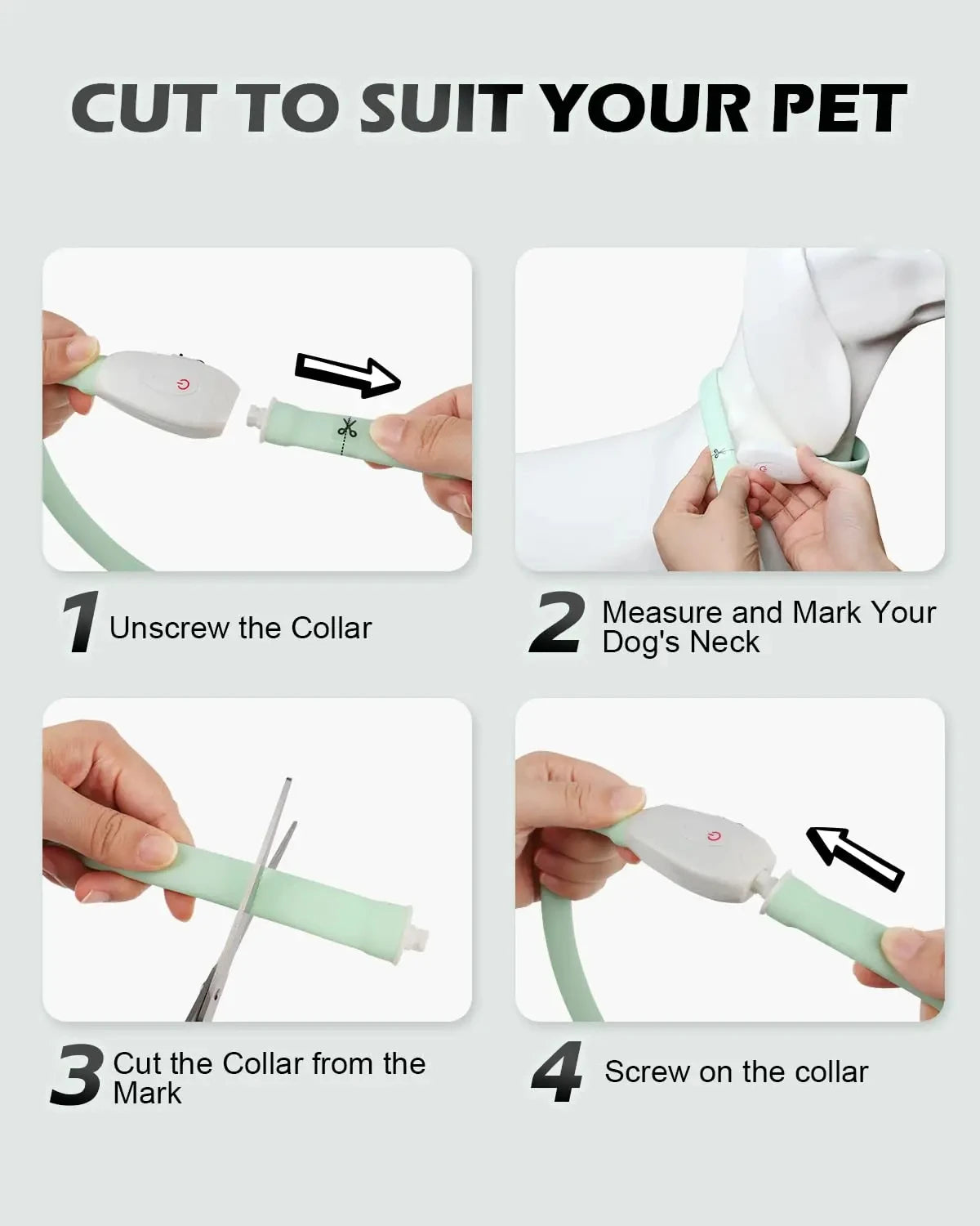 Collier lumineux chien | Visio+