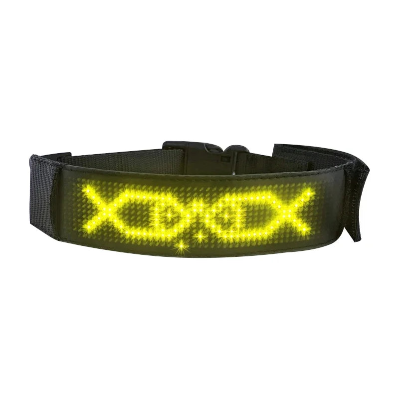 Collier lumineux chien | LED-Safety
