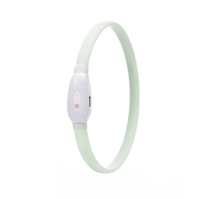 Collier lumineux chien | Visio+