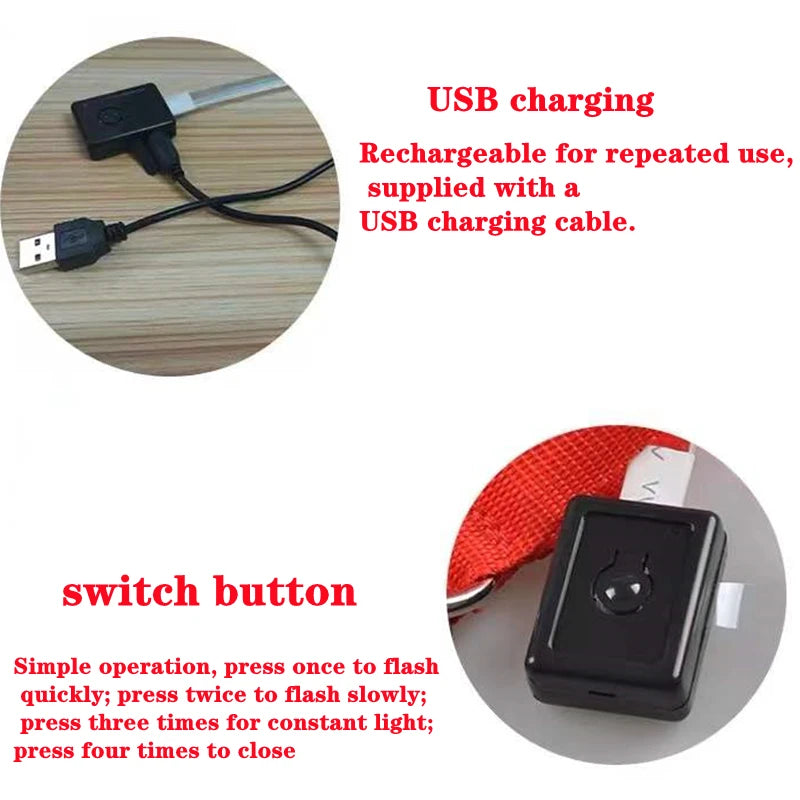 Collier lumineux pour chien | NightSafe