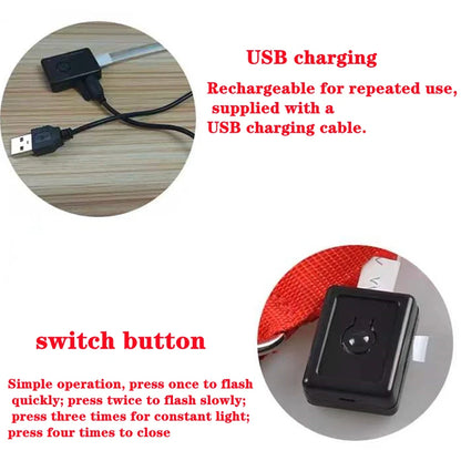 Collier lumineux pour chien | NightSafe