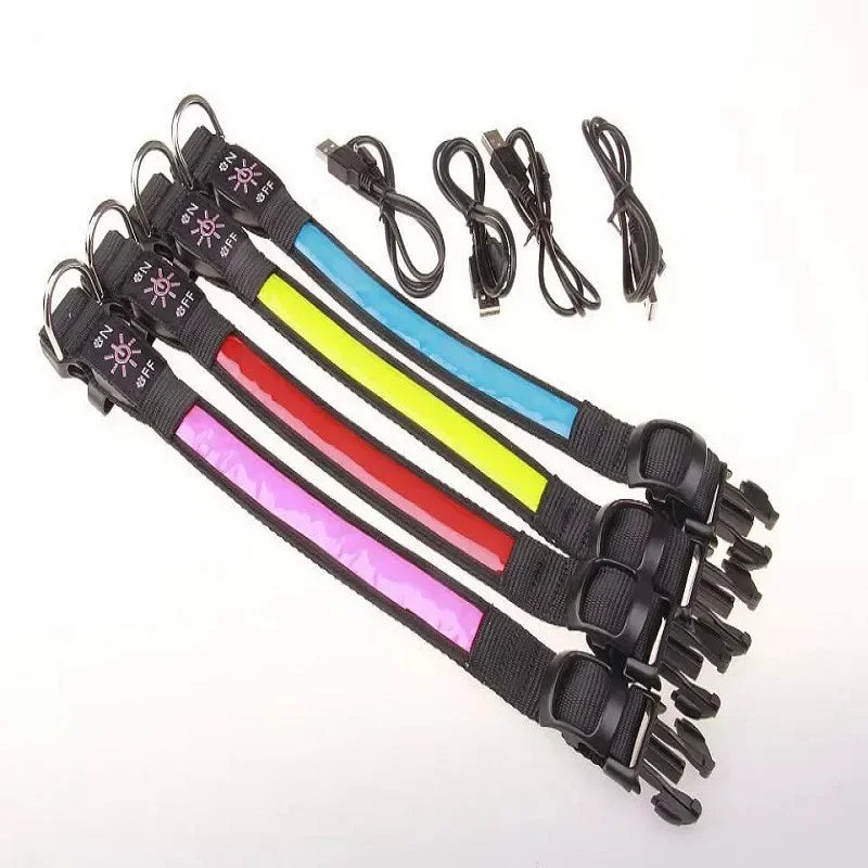 Colliers lumineux pour chiens | SecuriNight