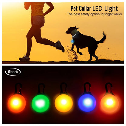 Collier lumineux pour chien | NightSafe