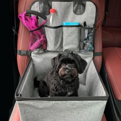 Siege auto pour chien durable