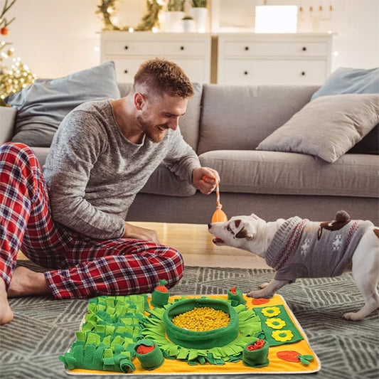 Tapis de fouille chien design facile