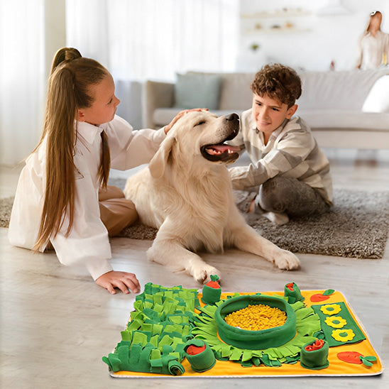 Tapis de fouille chien facile sentir