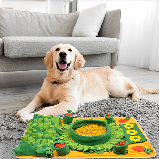 Tapis de fouille chien intérieur tapis