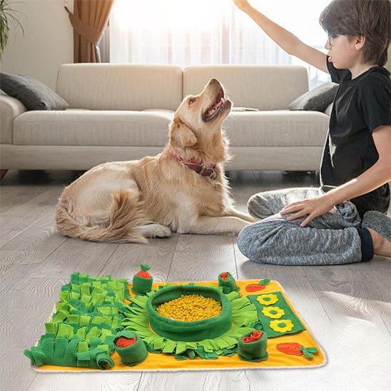 Tapis de fouille chien jouer