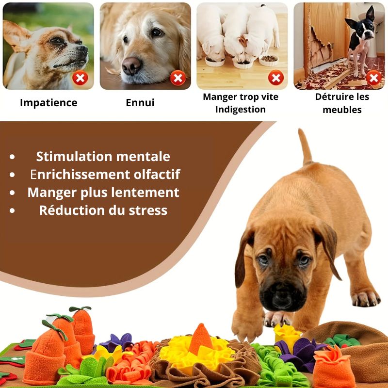 Tapisde fouille chien produit