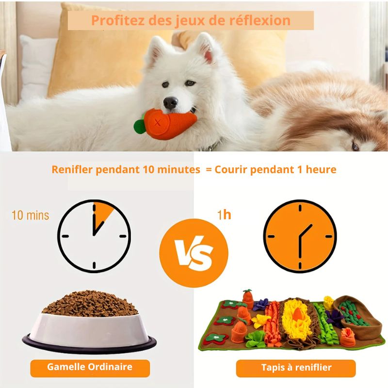 Tapisde fouille chien temps