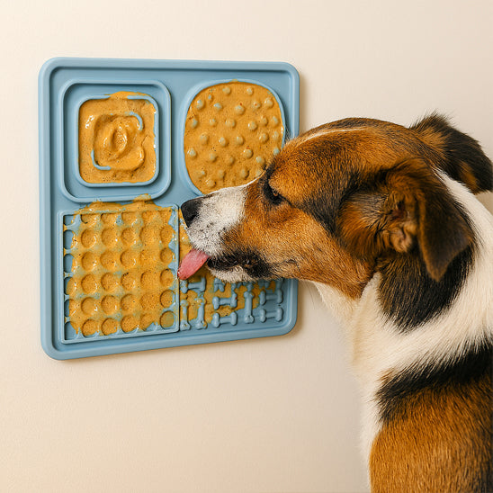 Tapis de lechage chien carre bleu produit