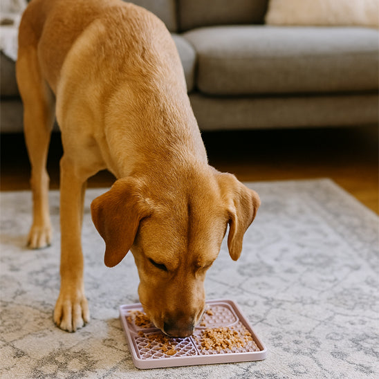 Tapis de lechage chien carre rose produit
