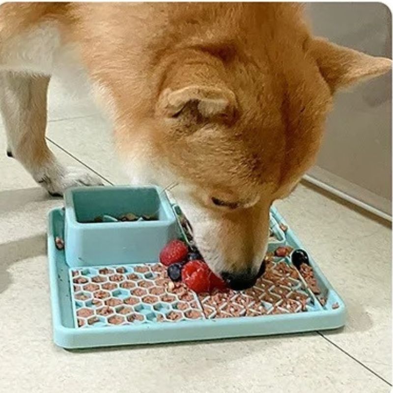 Tapis de lechage chien carré vert