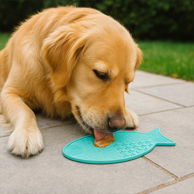 Tapis de lechage chien poisson bleu